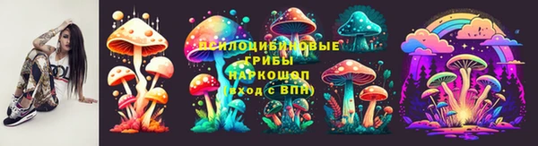 винт Абаза