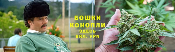 винт Абаза