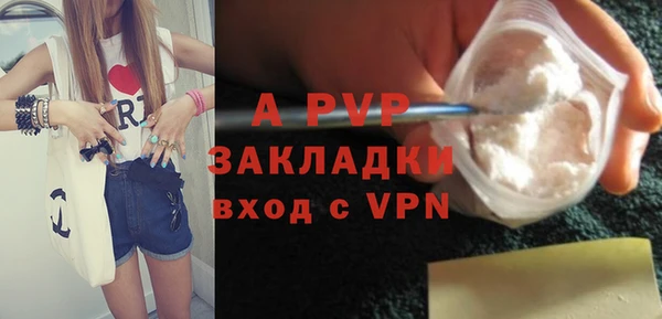 винт Абаза