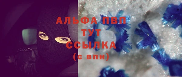 винт Абаза