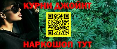 гашик Жуковский
