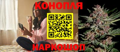 a pvp Заводоуковск