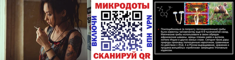 как найти закладки  Дивногорск  Галлюциногенные грибы Cubensis 