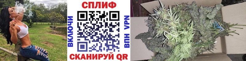 где найти наркотики  Дивногорск  Конопля White Widow 